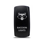 Ch4x4-racl-a Rocker Switch Raccoon Lights Symbol Amber Led