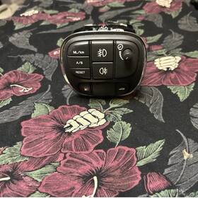 2w9311654ag Jaguar 04-05 Xj8 Xjr Vdp X350 Fog Light / Fuel Door Trunk Dimmer Switch Oem