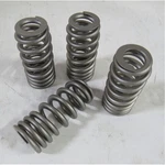 Valve Springs PAC-1282LX-16; Beehive 160LBS 2.25 In. Ford 7.3 Godzilla. Fixed Price $385.40.