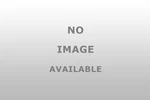 Dorman 645 937 Pigtail Socket. Fixed Price $17.73.