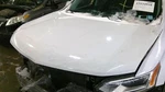 Used Hood Fits: 2018 Chevrolet Traverse Grade. Fixed Price $434.90.