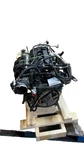 08 09 10 11 Ford Focus Engine Assembly (2.0L Vin 8TH Digit Dohc). Fixed Price $990.00.