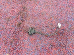 Cadillac Xlr 2004-2013 Oem Rear Trunk Gate Lid Unlock Open Button Switch. Fixed Price $34.99.