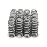 Racing Springs Drop-in Valve (16) Ford 7.3L Godzilla PAC-1282X-16. Fixed Price $404.82.