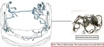 Engine Room Harness Oem 2007 Chevrolet SILV15NEW. Fixed Price $200.00.